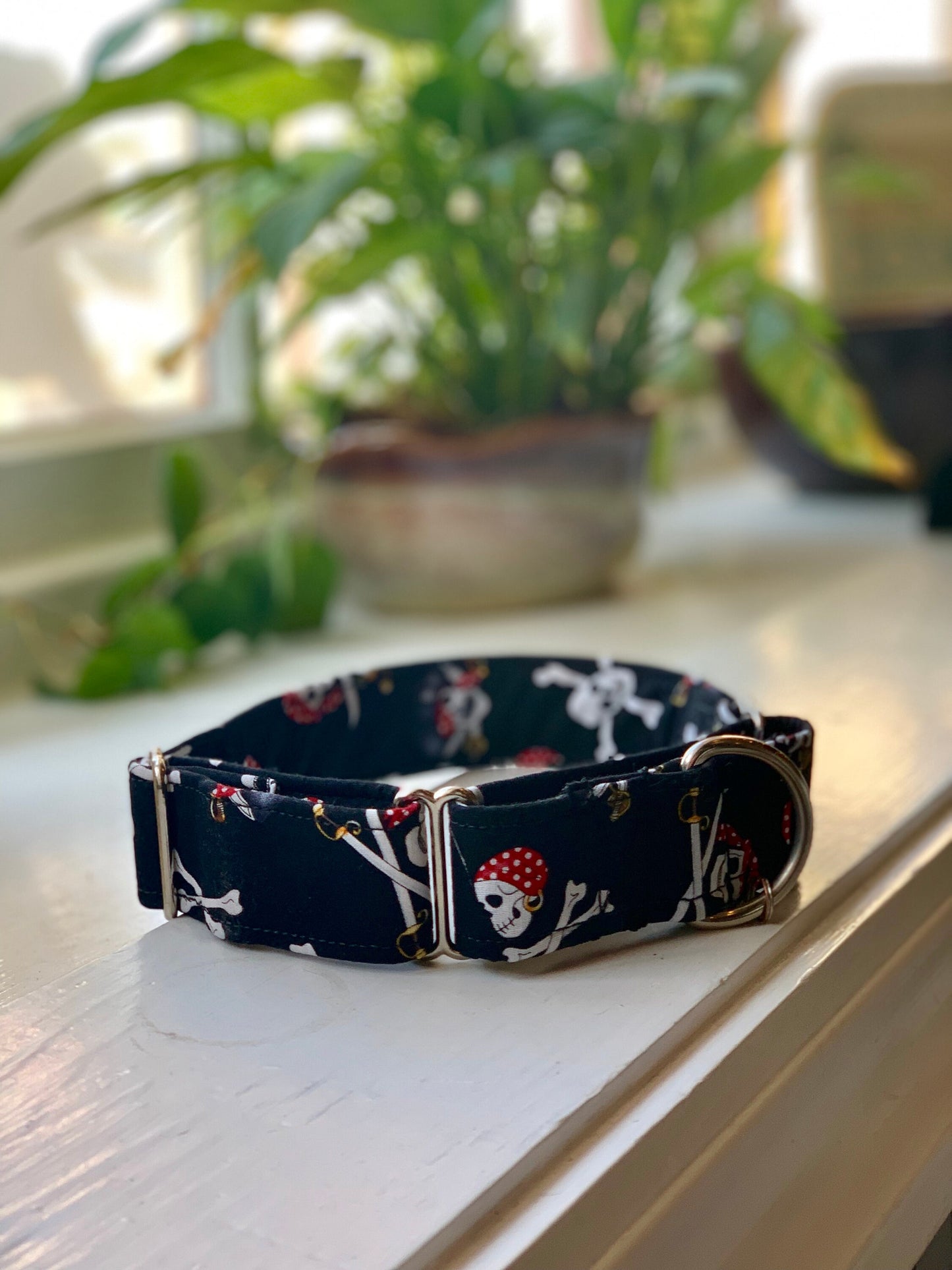 Pirates Dog Collar- Martingale- Quick Release- No Buckle Slide- Leash- Handmade Dog Collars