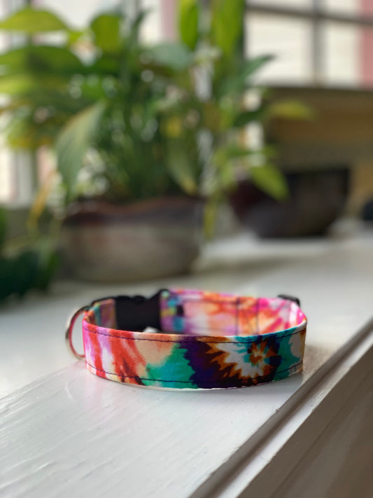 Tie Dye in Vivids Dog Collar- Martingale- Quick Release- No Buckle Slide- Leash- Handmade Dog Collars