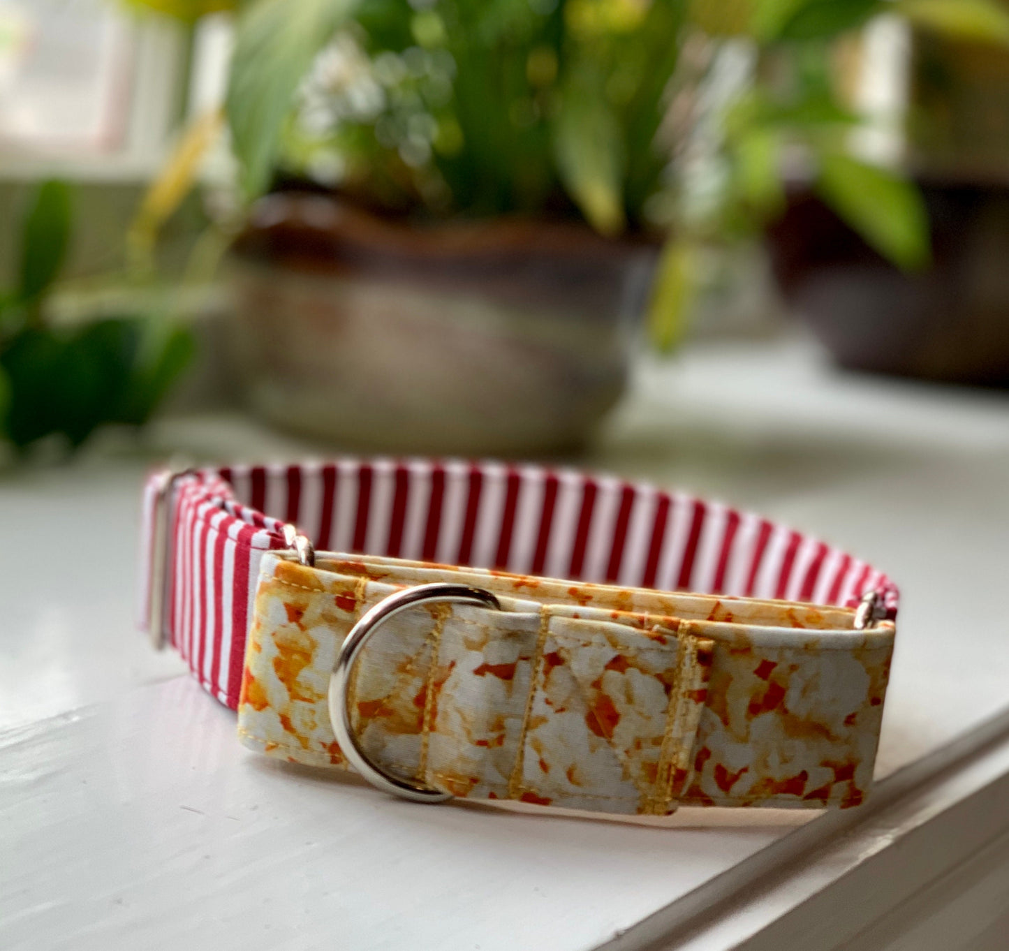 Popcorn Dog Collar- Martingale- Quick Release- No Buckle Slide- Leash- Handmade Dog Collars