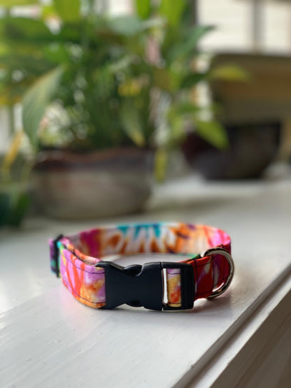 Tie Dye in Vivids Dog Collar- Martingale- Quick Release- No Buckle Slide- Leash- Handmade Dog Collars