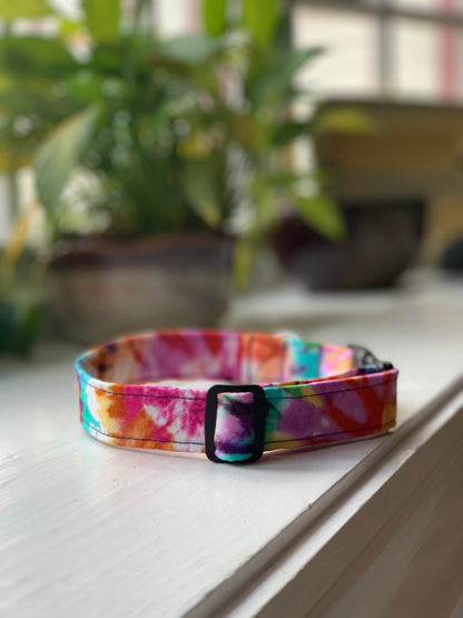 Tie Dye in Vivids Dog Collar- Martingale- Quick Release- No Buckle Slide- Leash- Handmade Dog Collars