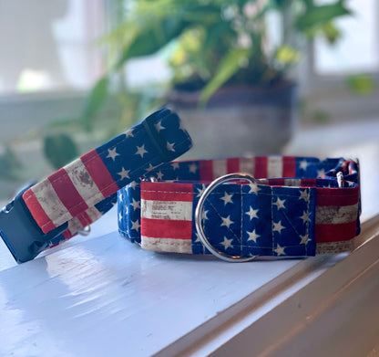 Old Glory Dog Collar- Martingale- Quick Release- No Buckle Slide- Leash- Handmade Dog Collars