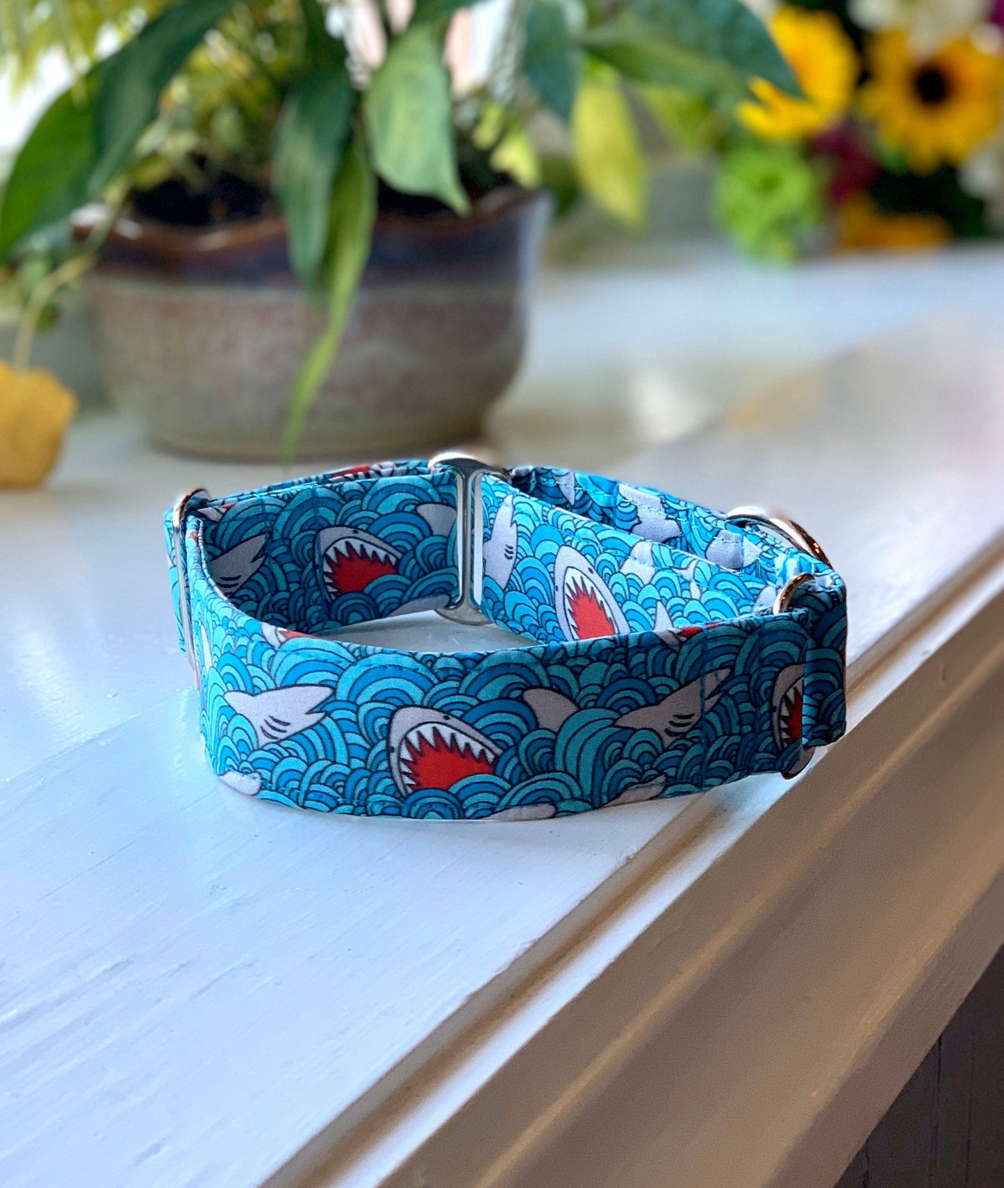 Sharks Dog Collar- Martingale- Quick Release- No Buckle Slide- Leash- Handmade Dog Collars