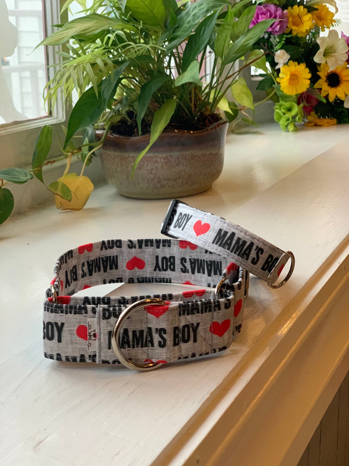 Mama’s Boy Dog Collar- Martingale- Quick Release- No Buckle Slide- Leash- Handmade Dog Collars