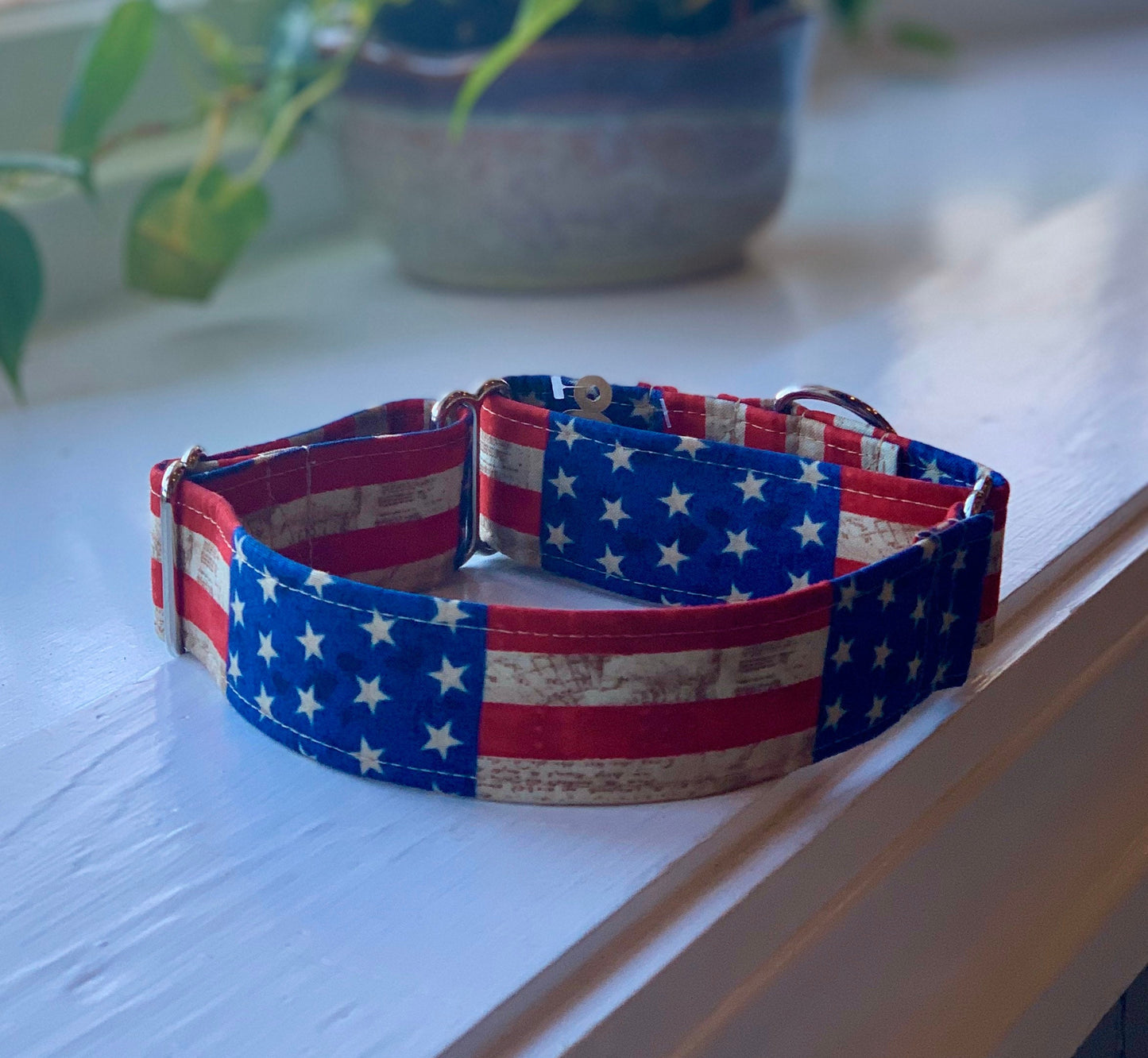 Old Glory Dog Collar- Martingale- Quick Release- No Buckle Slide- Leash- Handmade Dog Collars