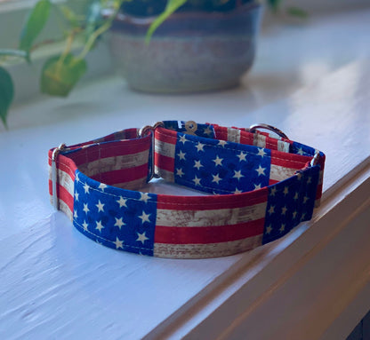 Old Glory Dog Collar- Martingale- Quick Release- No Buckle Slide- Leash- Handmade Dog Collars