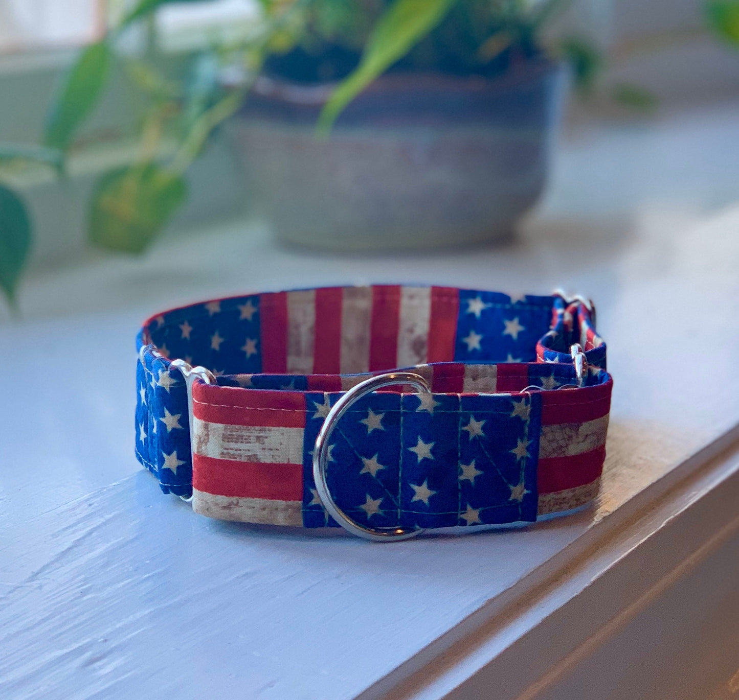 Old Glory Dog Collar- Martingale- Quick Release- No Buckle Slide- Leash- Handmade Dog Collars