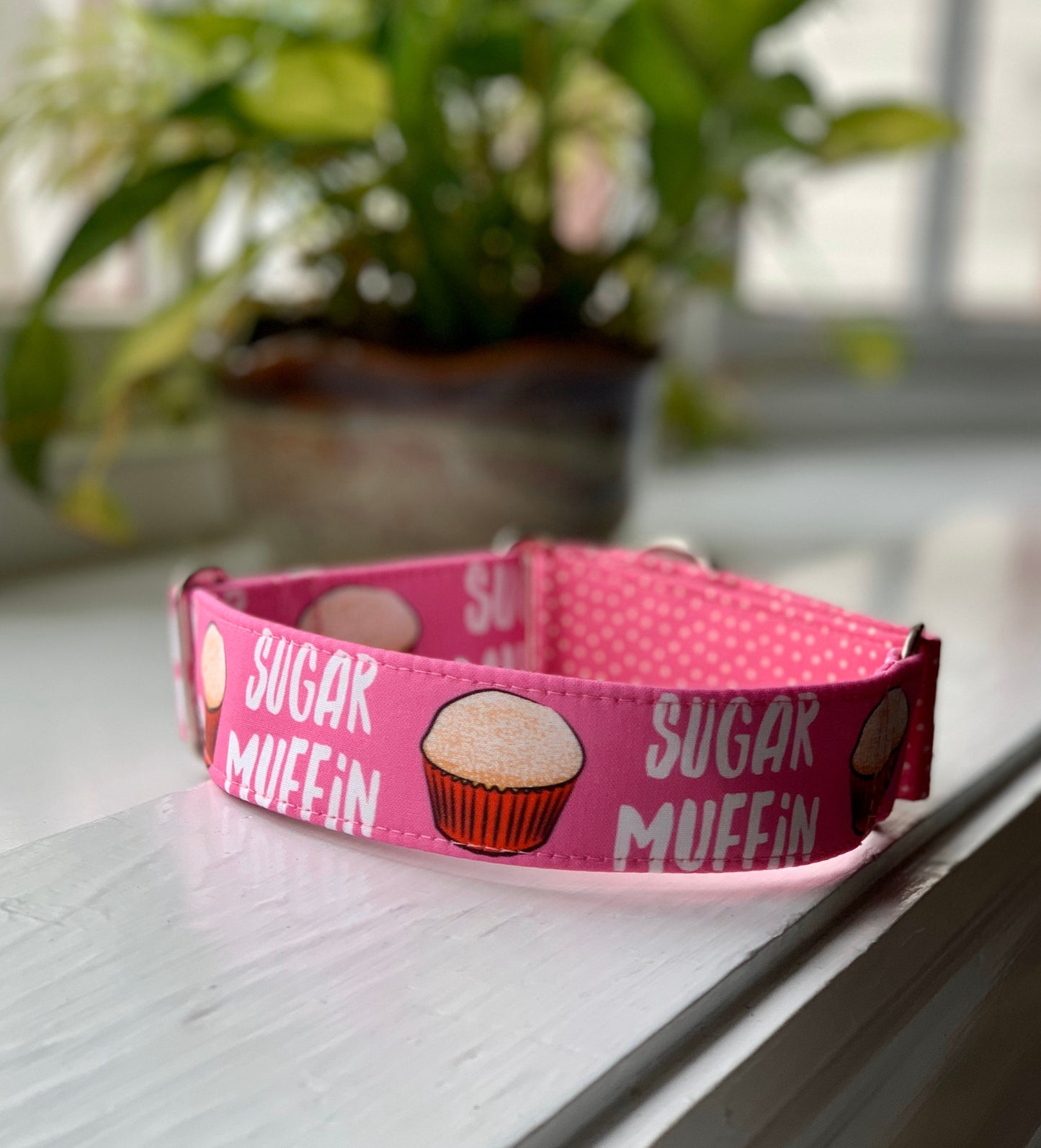 Sugar Muffin Dog Collar- Martingale- Quick Release- No Buckle Slide- Leash- Handmade Dog Collars