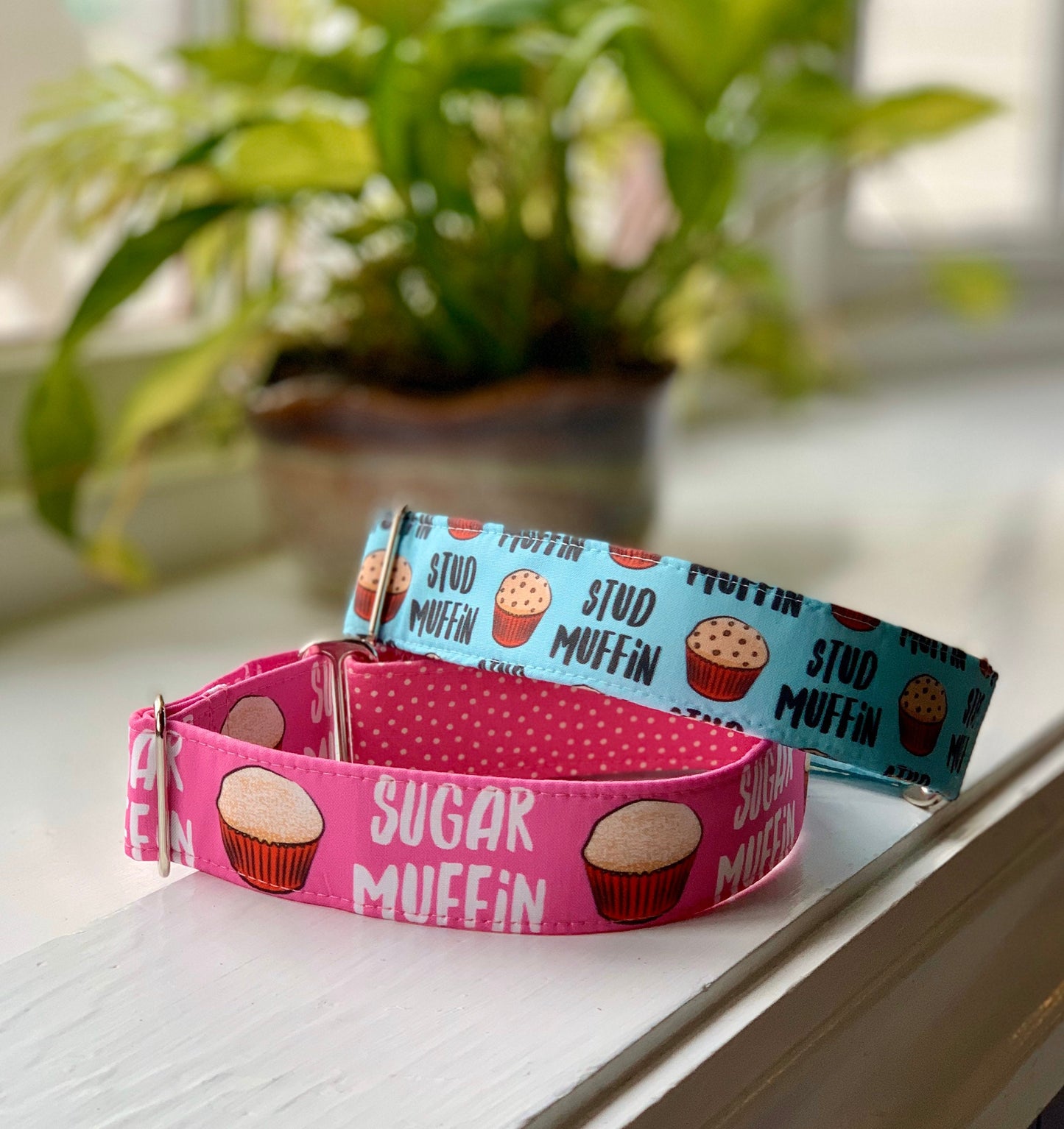 Sugar Muffin Dog Collar- Martingale- Quick Release- No Buckle Slide- Leash- Handmade Dog Collars