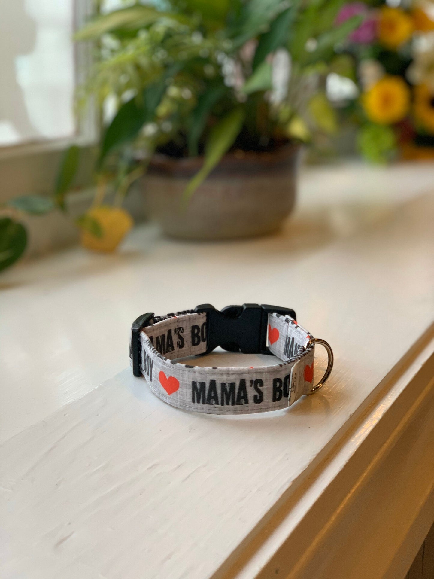 Mama’s Boy Dog Collar- Martingale- Quick Release- No Buckle Slide- Leash- Handmade Dog Collars