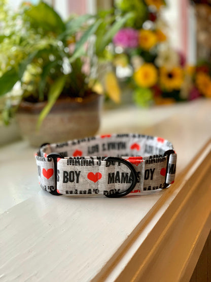 Mama’s Boy Dog Collar- Martingale- Quick Release- No Buckle Slide- Leash- Handmade Dog Collars