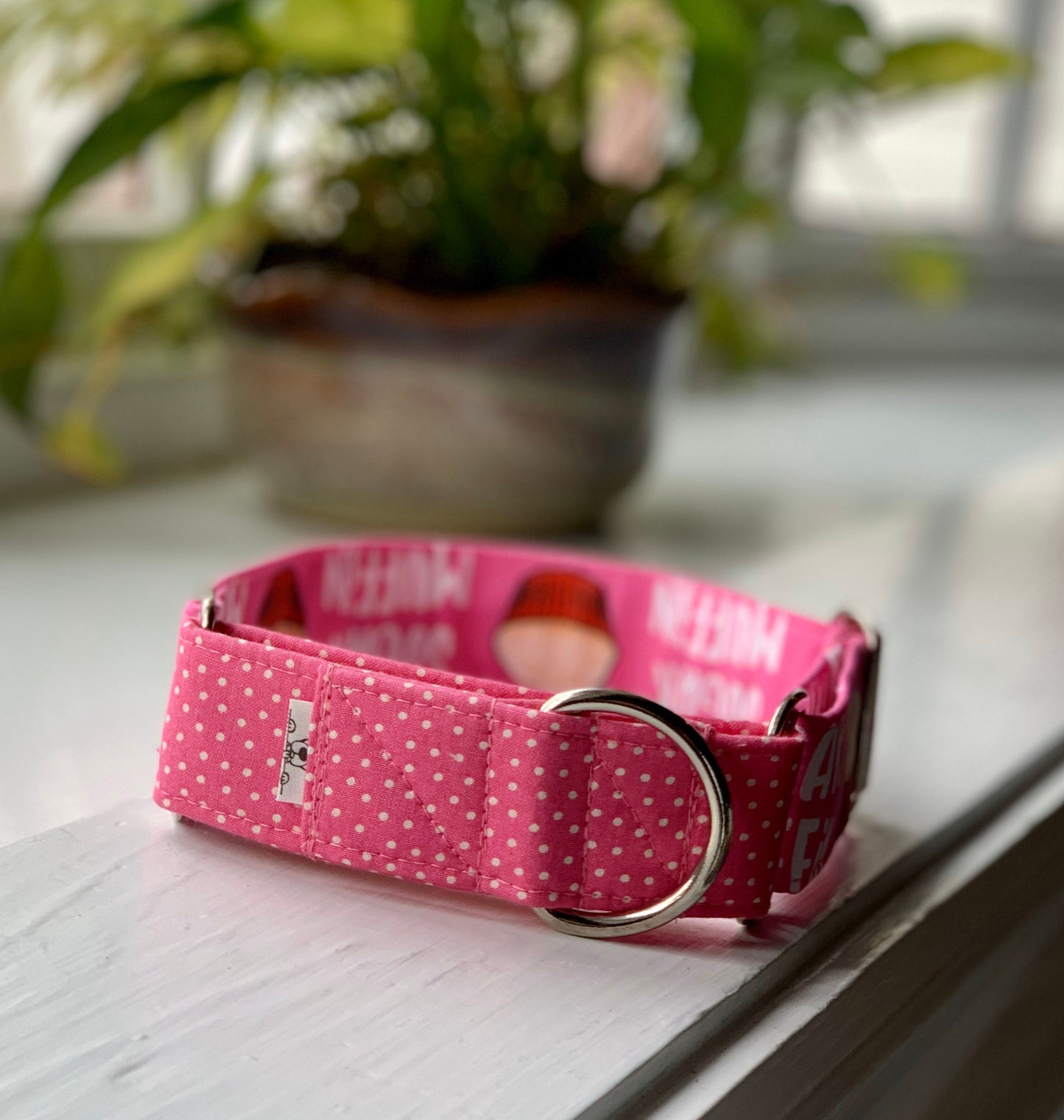 Sugar Muffin Dog Collar- Martingale- Quick Release- No Buckle Slide- Leash- Handmade Dog Collars