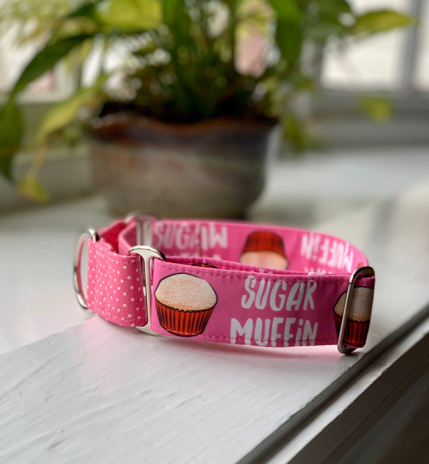 Sugar Muffin Dog Collar- Martingale- Quick Release- No Buckle Slide- Leash- Handmade Dog Collars