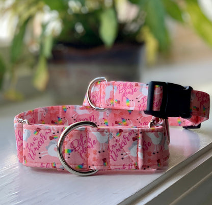 Bitch please, I’m a Unicorn-Pink Dog Collar- Martingale- Quick Release- No Buckle Slide- Leash- Handmade Dog Collars