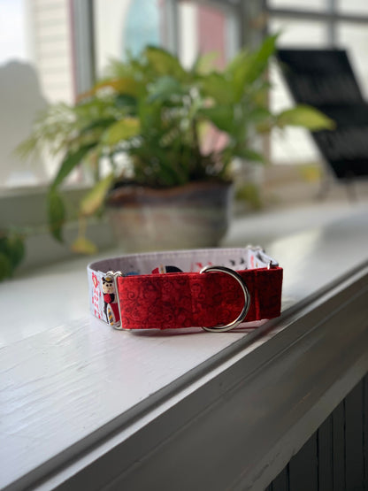 Alice in Wonderland Dog Collar- Martingale- Quick Release- No Buckle Slide- Leash- Handmade Dog Collars