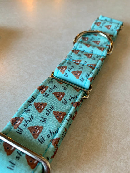 Lil’ Turd- Teal Dog Collar- Martingale- Quick Release- No Buckle Slide- Leash- Handmade Dog Collars