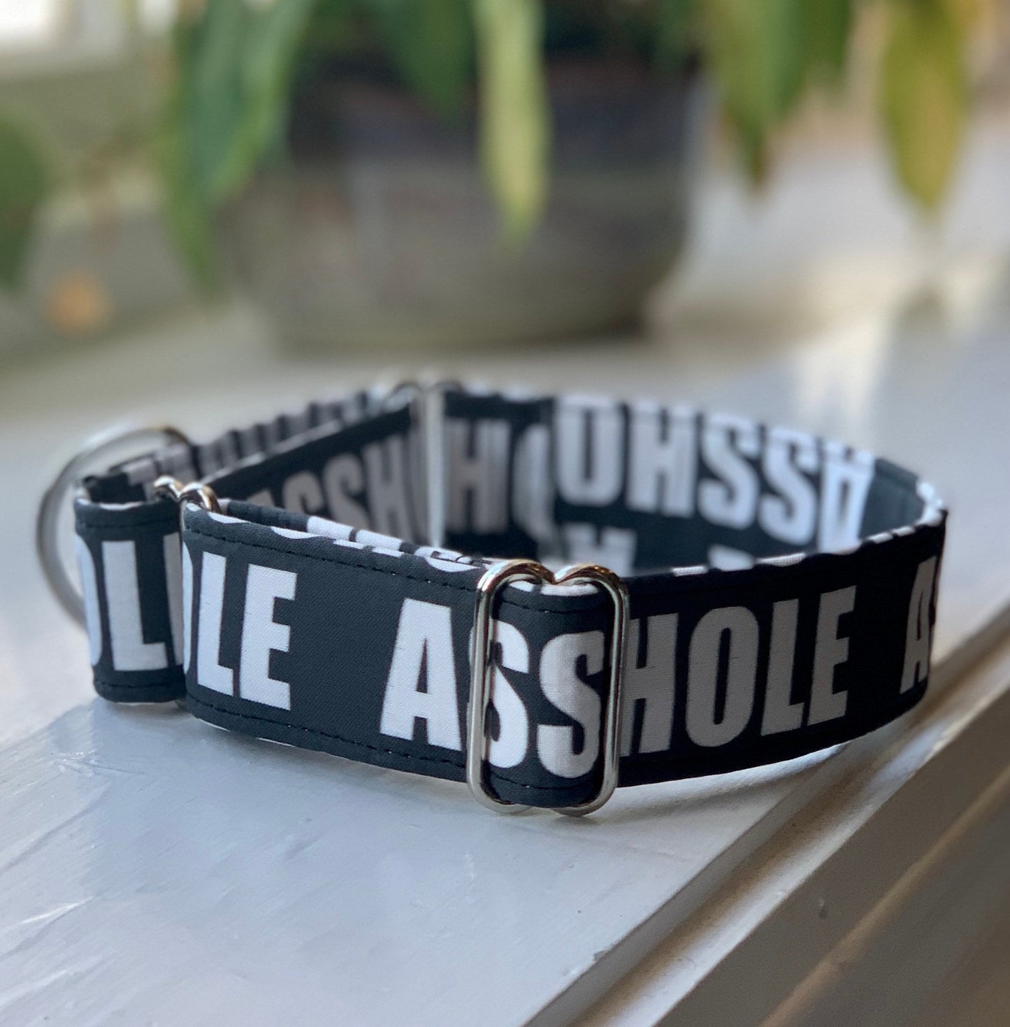 Asshole Dog Collar- Martingale- Quick Release- No Buckle Slide- Leash- Handmade Dog Collars