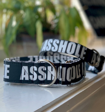 Asshole Dog Collar- Martingale- Quick Release- No Buckle Slide- Leash- Handmade Dog Collars