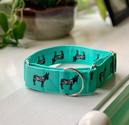 Jack Arse Dog Collar- Martingale- Quick Release- No Buckle Slide- Leash- Handmade Dog Collars