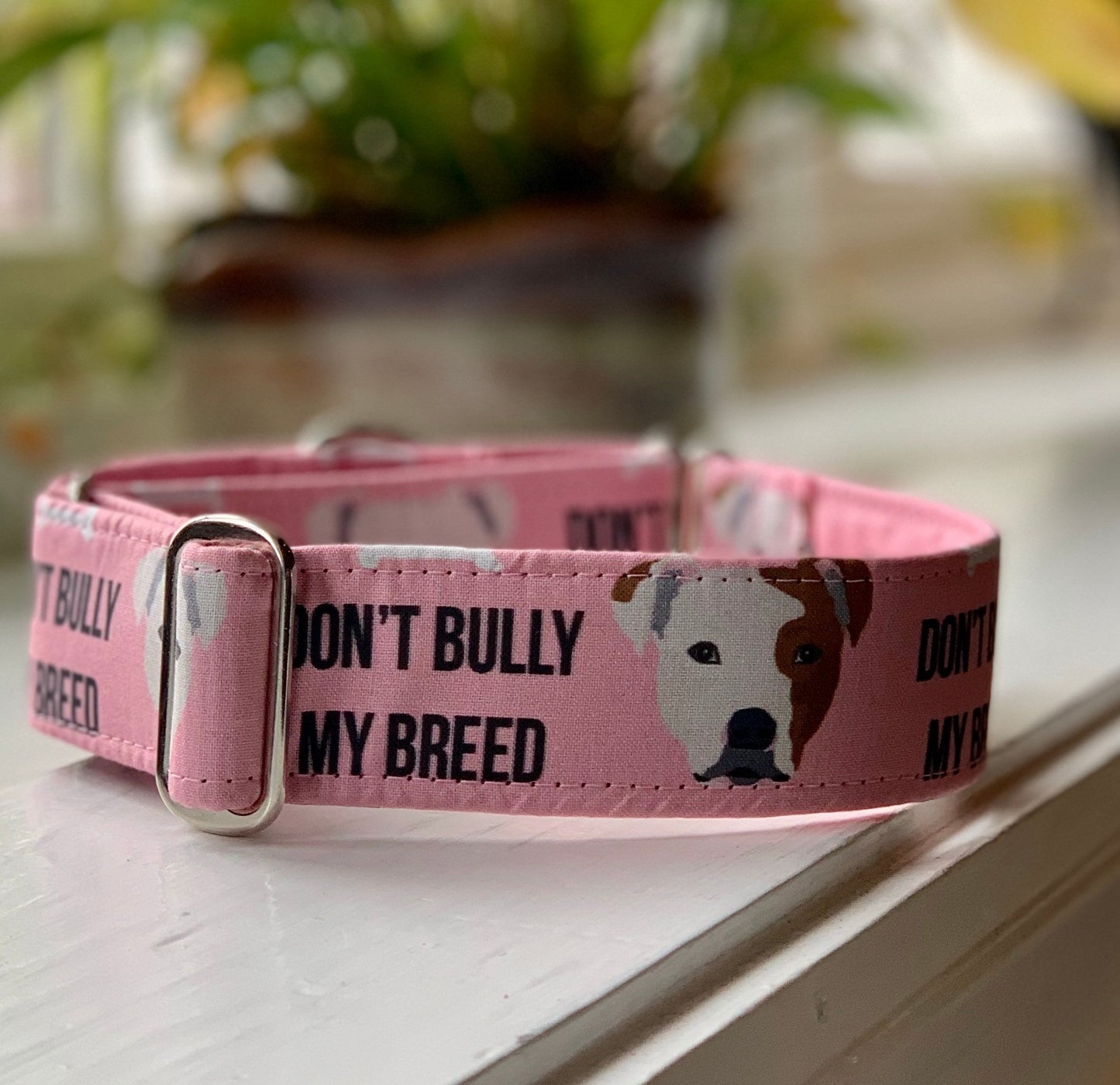 Don’t Bully My Breed-Pink Dog Collar- Martingale- Quick Release- No Buckle Slide- Leash- Handmade Dog Collars