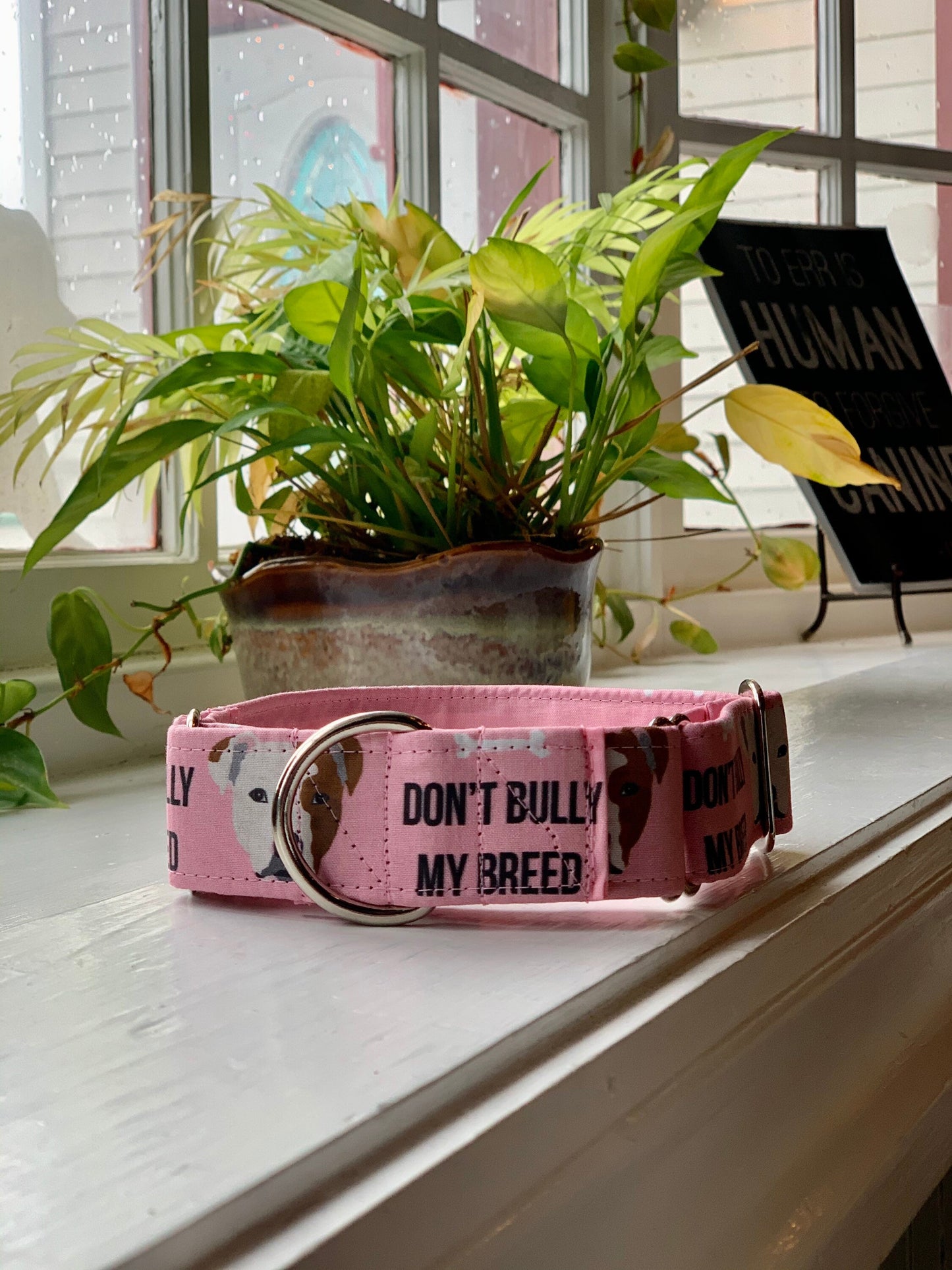 Don’t Bully My Breed-Pink Dog Collar- Martingale- Quick Release- No Buckle Slide- Leash- Handmade Dog Collars