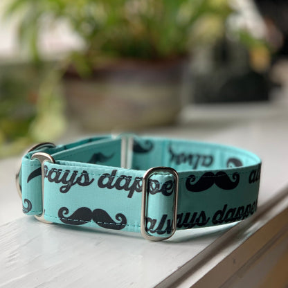 Always Dapper Dog Collar- Martingale- Quick Release- No Buckle Slide- Leash- Handmade Dog Collars