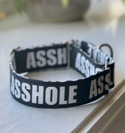 Asshole Dog Collar- Martingale- Quick Release- No Buckle Slide- Leash- Handmade Dog Collars