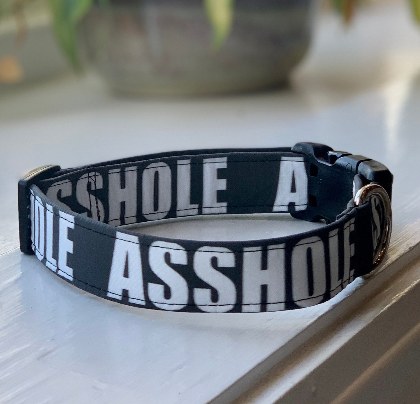 Asshole Dog Collar- Martingale- Quick Release- No Buckle Slide- Leash- Handmade Dog Collars