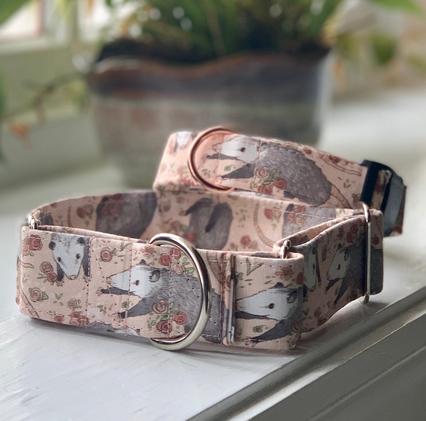 Opossum Dog Collar- Martingale- Quick Release- No Buckle Slide- Leash- Handmade Dog Collars