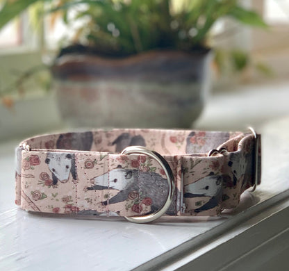 Opossum Dog Collar- Martingale- Quick Release- No Buckle Slide- Leash- Handmade Dog Collars