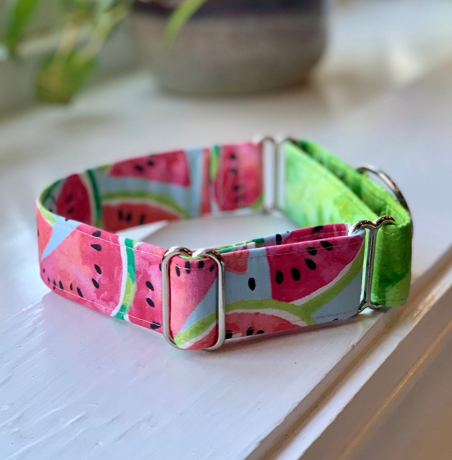 Watermelon Dog Collar- Martingale- Quick Release- No Buckle Slide- Leash- Handmade Dog Collars