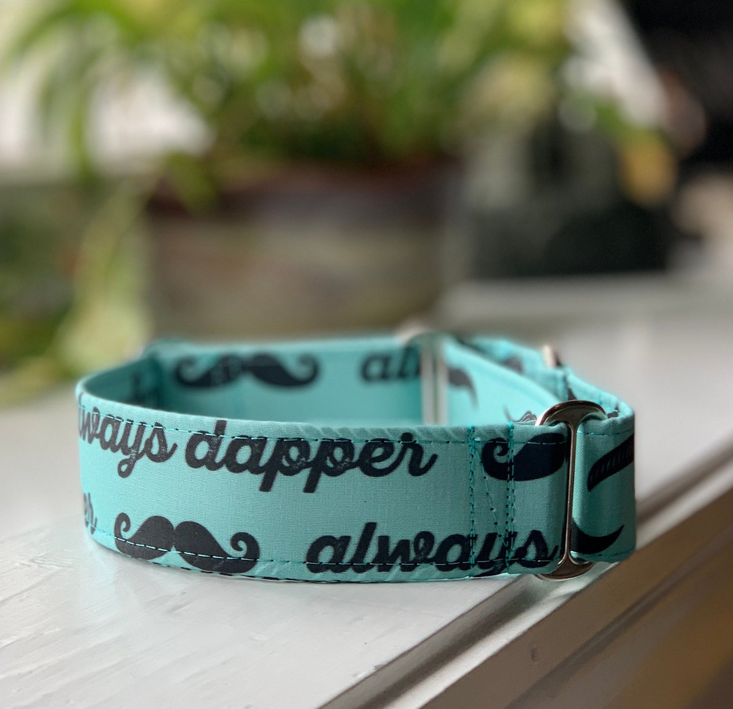 Always Dapper Dog Collar- Martingale- Quick Release- No Buckle Slide- Leash- Handmade Dog Collars