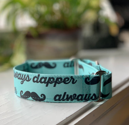 Always Dapper Dog Collar- Martingale- Quick Release- No Buckle Slide- Leash- Handmade Dog Collars