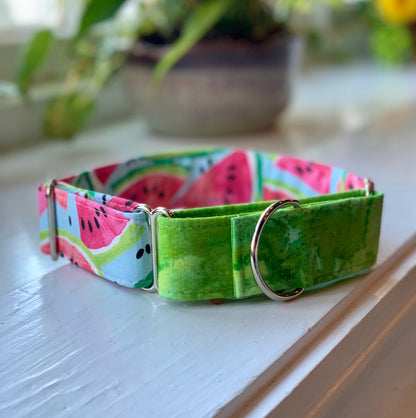 Watermelon Dog Collar- Martingale- Quick Release- No Buckle Slide- Leash- Handmade Dog Collars