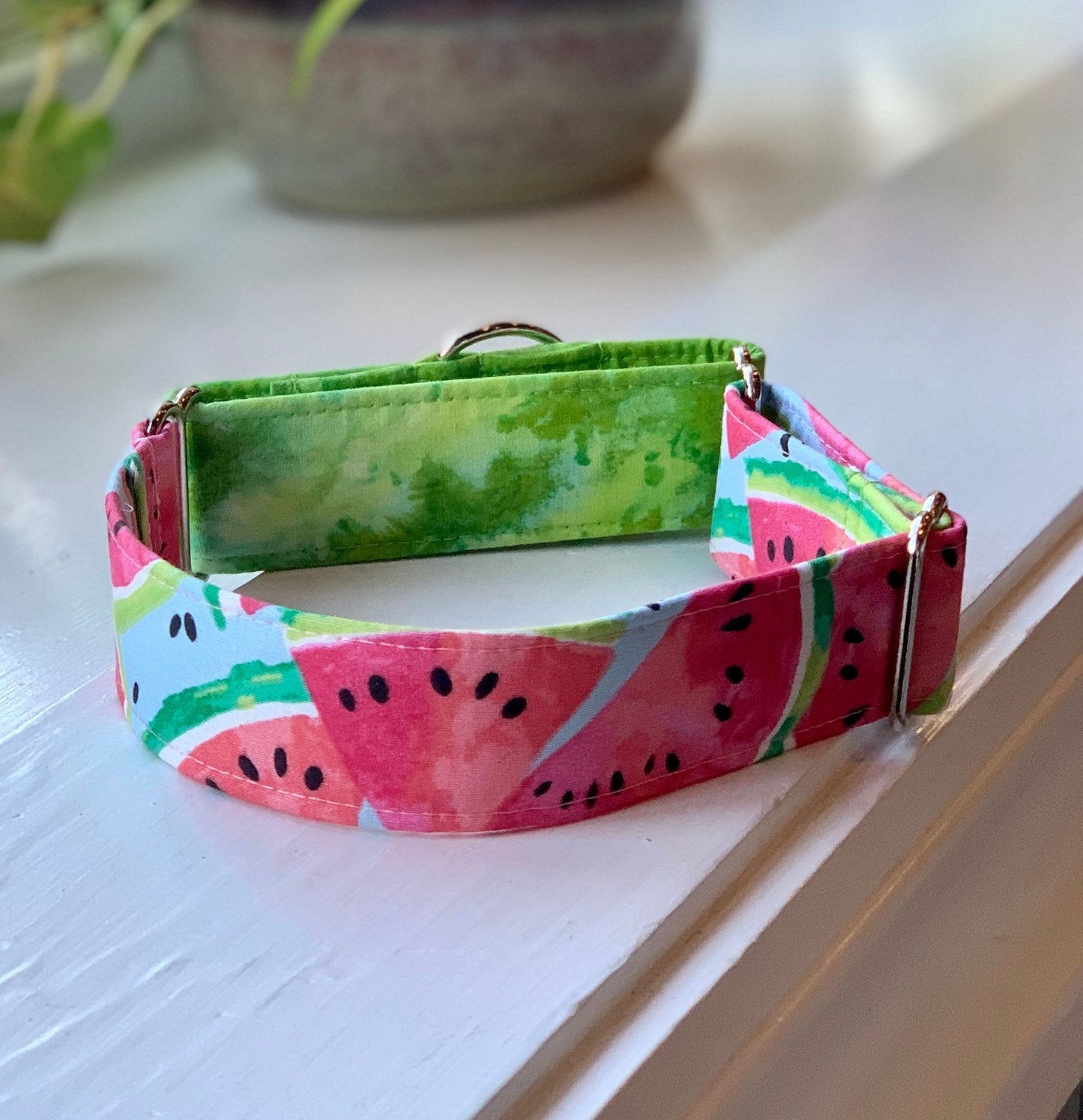 Watermelon Dog Collar- Martingale- Quick Release- No Buckle Slide- Leash- Handmade Dog Collars