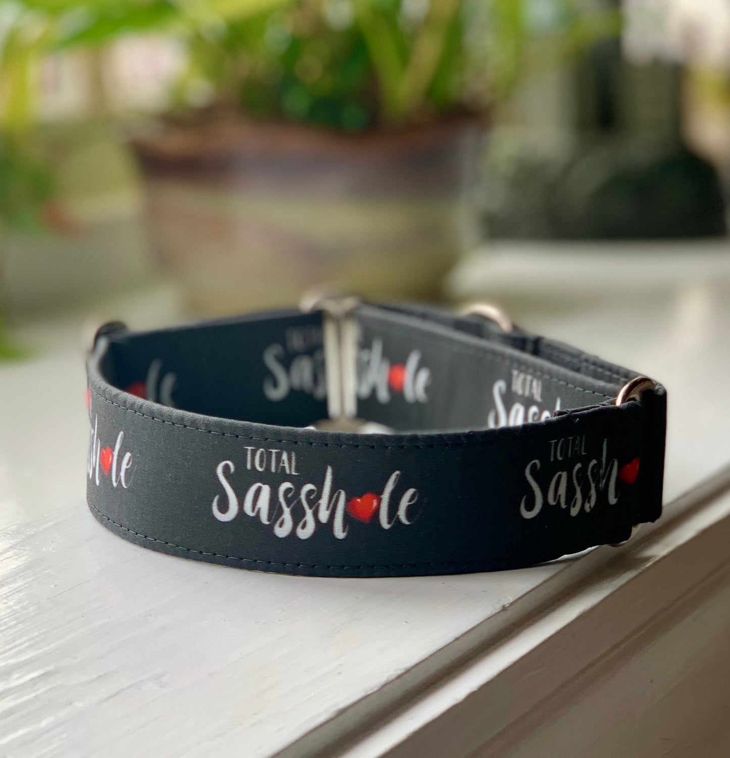 Total Sasshole Dog Collar- Martingale- Quick Release- No Buckle Slide- Leash- Handmade Dog Collars