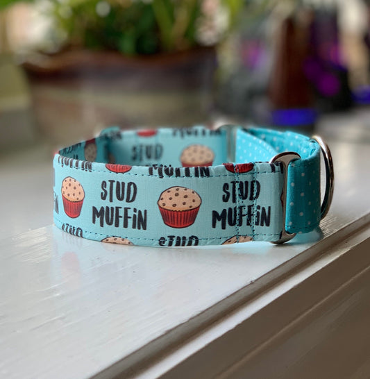 Stud Muffin Dog Collar- Martingale- Quick Release- No Buckle Slide- Leash- Handmade Dog Collars