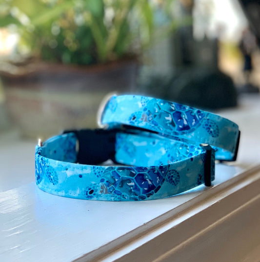 Sea Turtles Dog Collar- Martingale- Quick Release- No Buckle Slide- Leash- Handmade Dog Collars