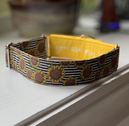 You are my Sunshine Dog Collar- Martingale- Quick Release- No Buckle Slide- Leash- Handmade Dog Collars