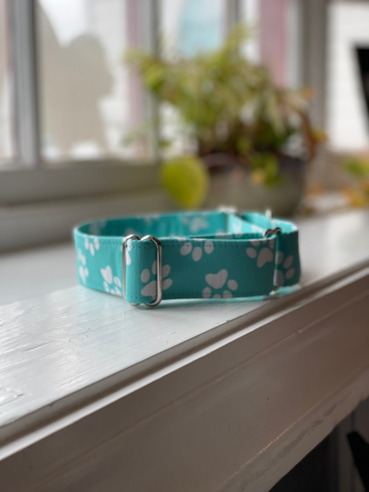 Teal with Paw Prints Dog Collar- Martingale- Quick Release- No Buckle Slide- Leash- Handmade Dog Collars