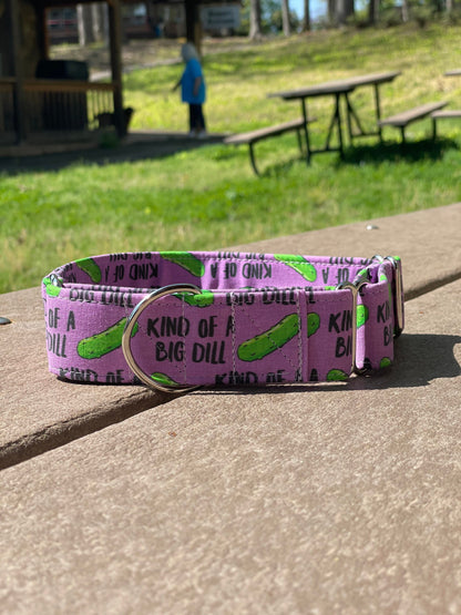 Kind of a big dill Dog Collar- Martingale- Quick Release- No Buckle Slide- Leash- Handmade Dog Collars