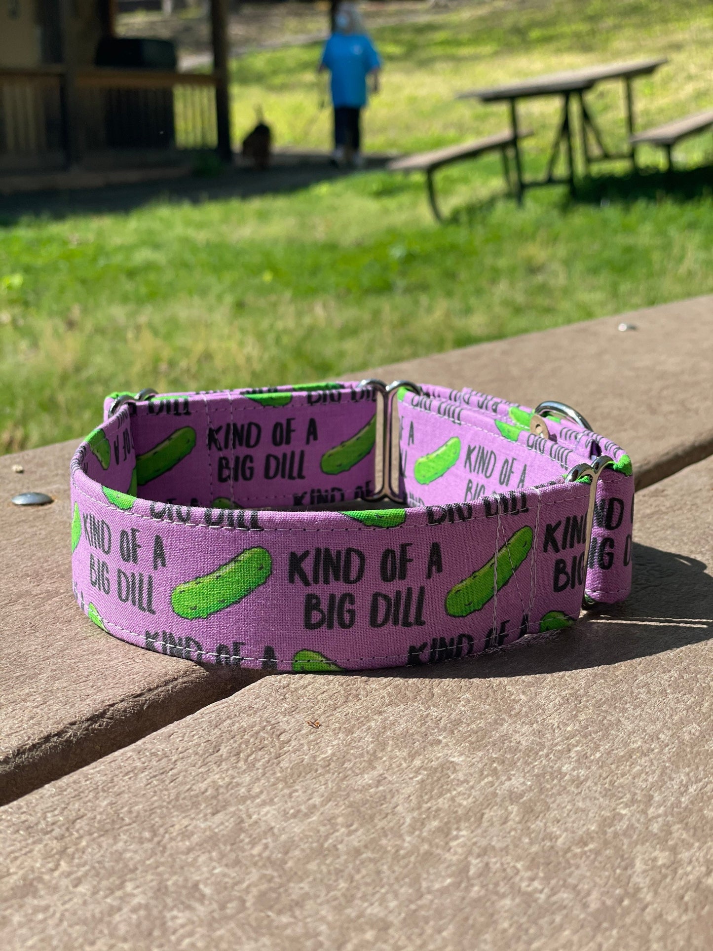 Kind of a big dill Dog Collar- Martingale- Quick Release- No Buckle Slide- Leash- Handmade Dog Collars