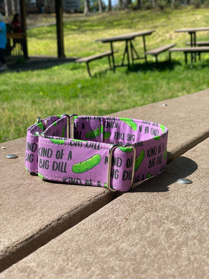 Kind of a big dill Dog Collar- Martingale- Quick Release- No Buckle Slide- Leash- Handmade Dog Collars