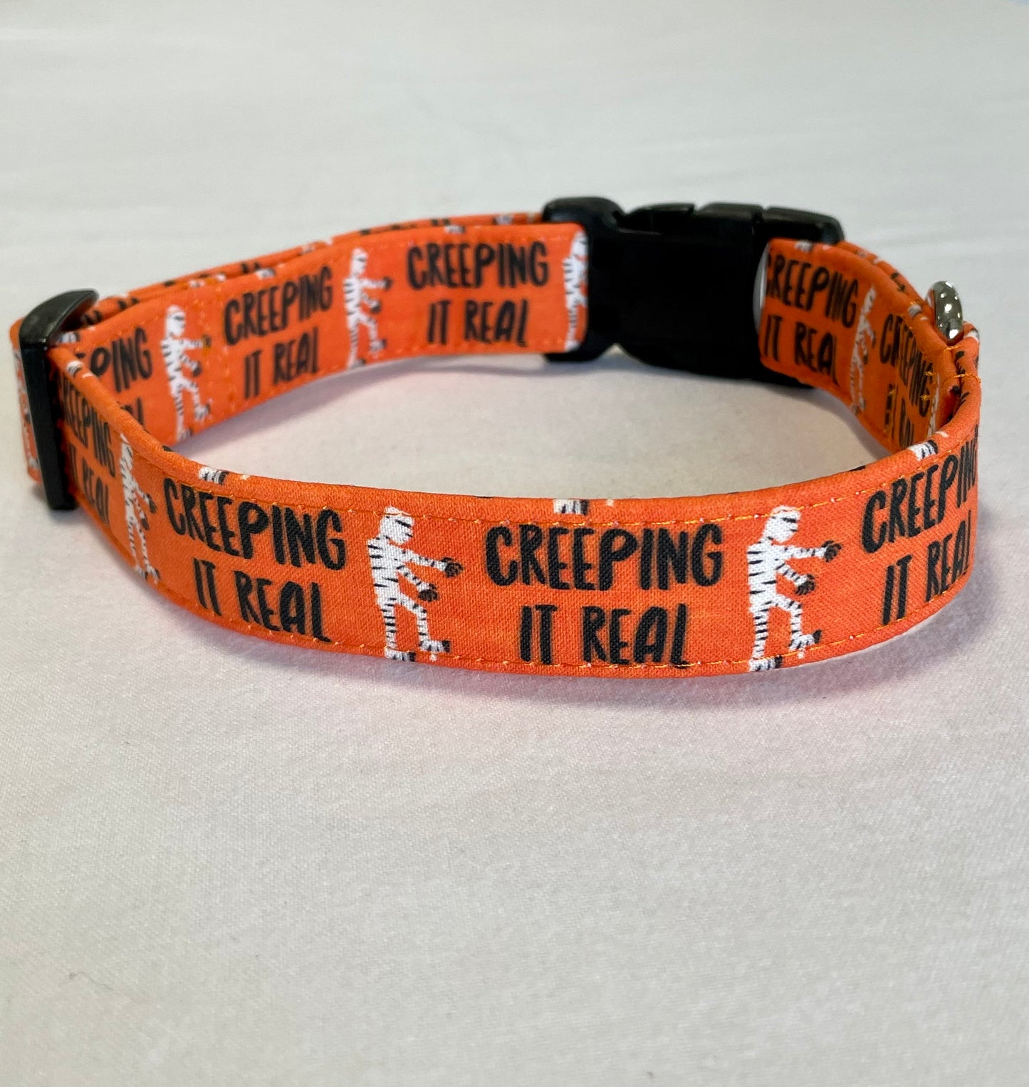 Creep It Real Dog Collar- Martingale- Quick Release- No Buckle Slide- Leash- Handmade Dog Collars