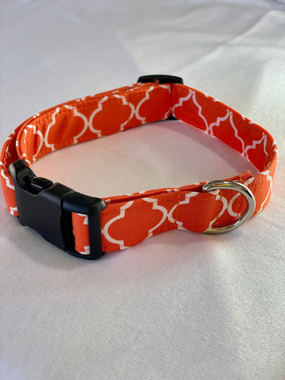 Orange Paloma Dog Collar- Martingale- Quick Release- No Buckle Slide- Leash- Handmade Dog Collars