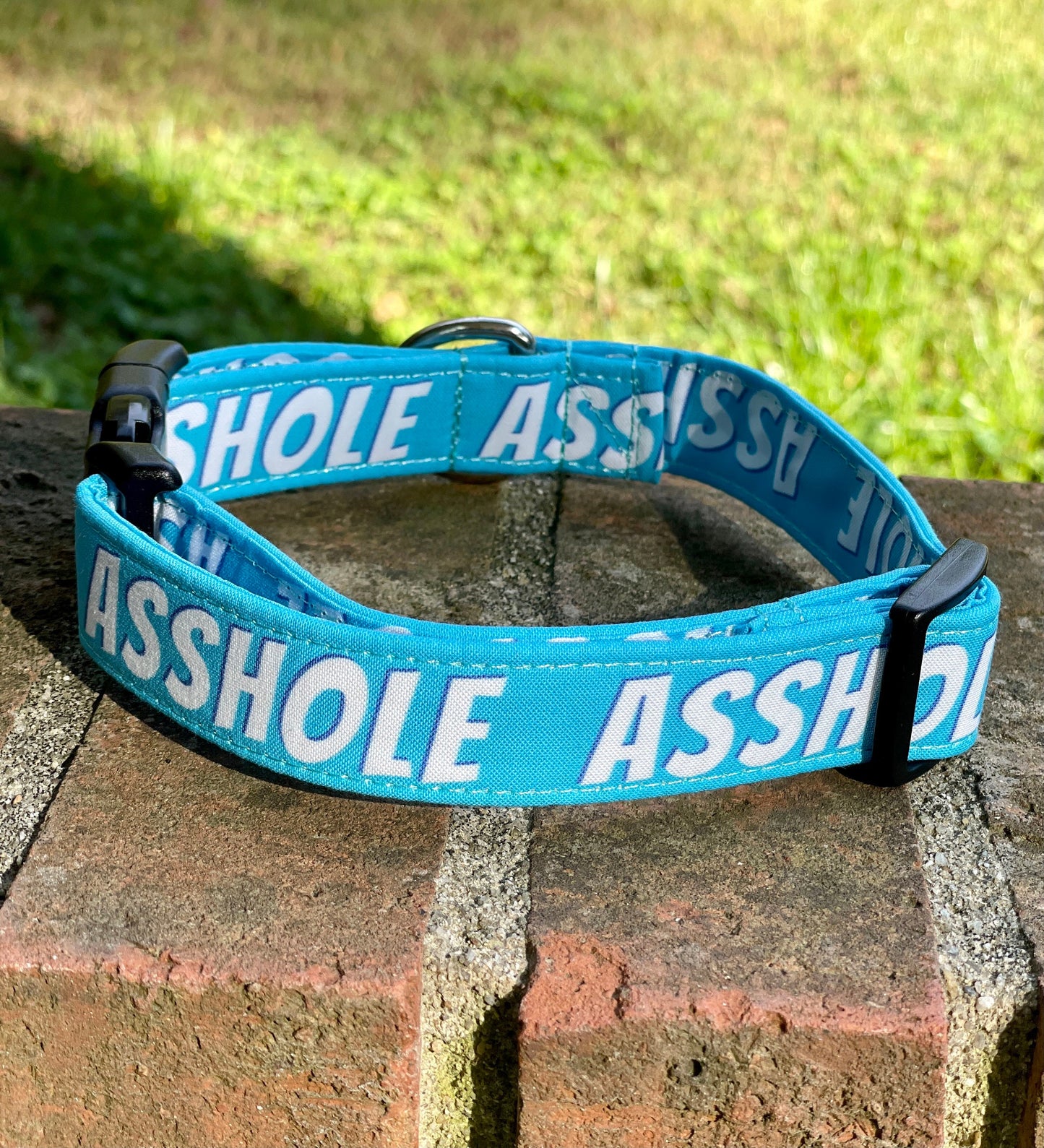 Asshole in Blue Dog Collar- Martingale- Quick Release- No Buckle Slide- Leash- Handmade Dog Collars