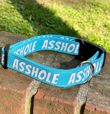 Asshole in Blue Dog Collar- Martingale- Quick Release- No Buckle Slide- Leash- Handmade Dog Collars