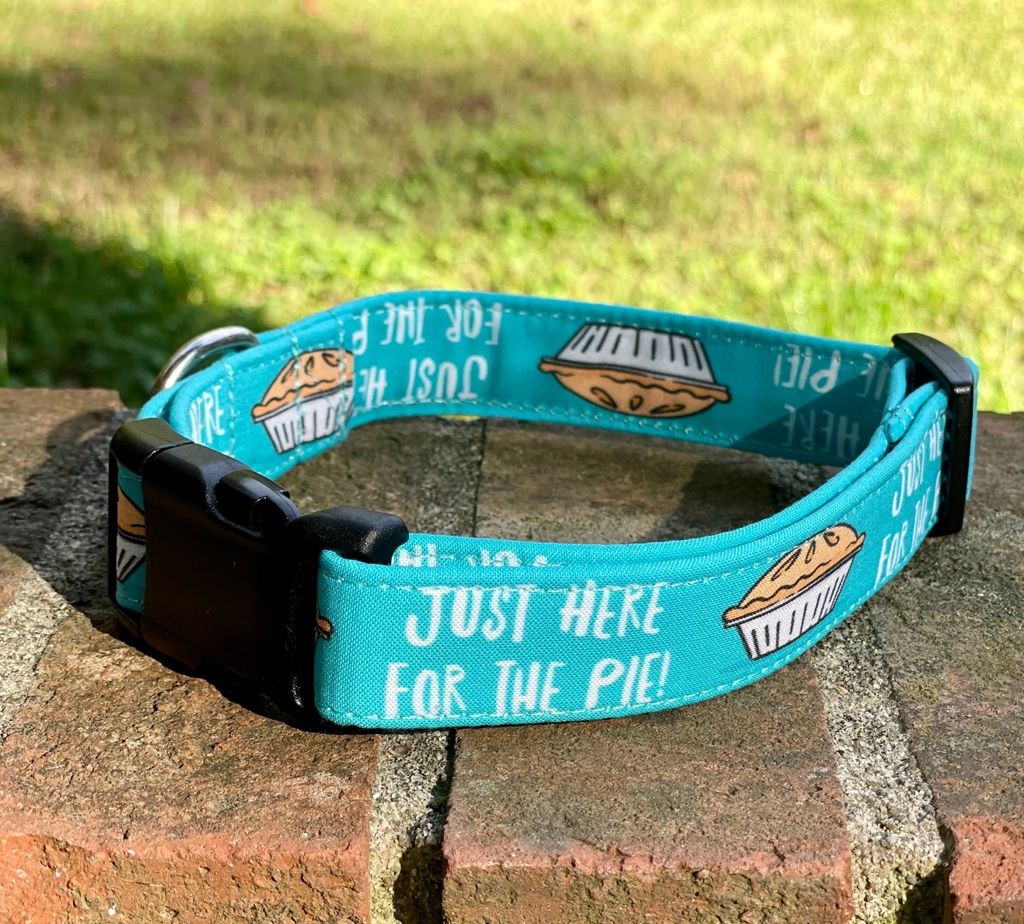 Just here for the pie Dog Collar- Martingale- Quick Release- No Buckle Slide- Leash- Handmade Dog Collars