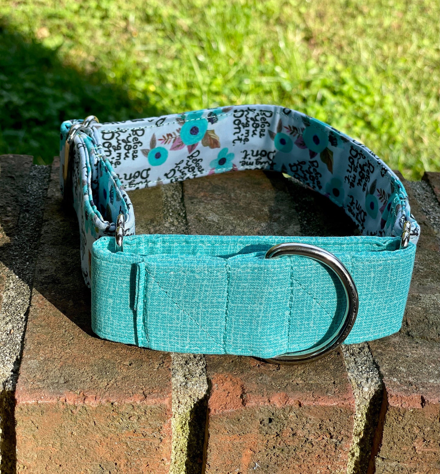 Before you hug me…. Don’t! Dog Collar- Martingale- Quick Release- No Buckle Slide- Leash- Handmade Dog Collars