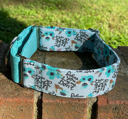 Before you hug me…. Don’t! Dog Collar- Martingale- Quick Release- No Buckle Slide- Leash- Handmade Dog Collars